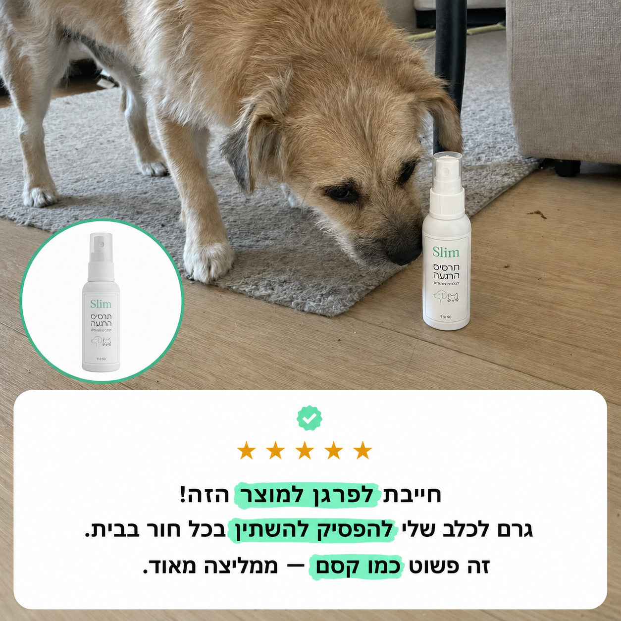 ספריי כלבים