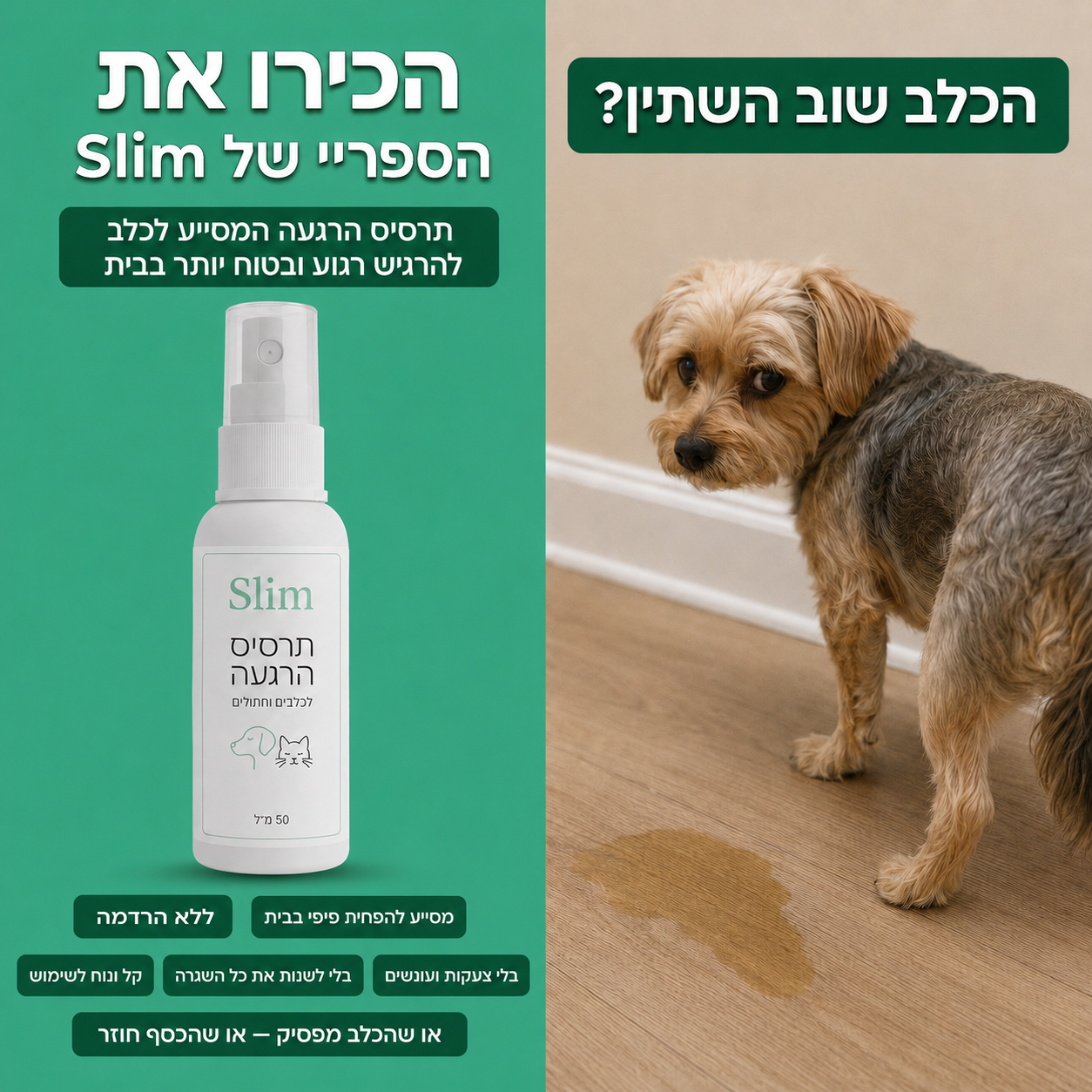 ספריי כלבים